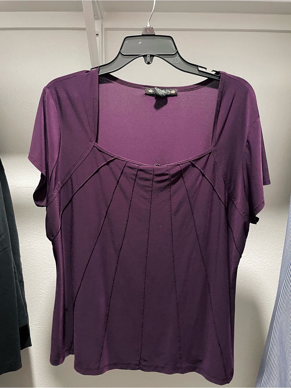 Suzie In The City Deep Purple Pleated Scoop Neck Short Sleeve Top